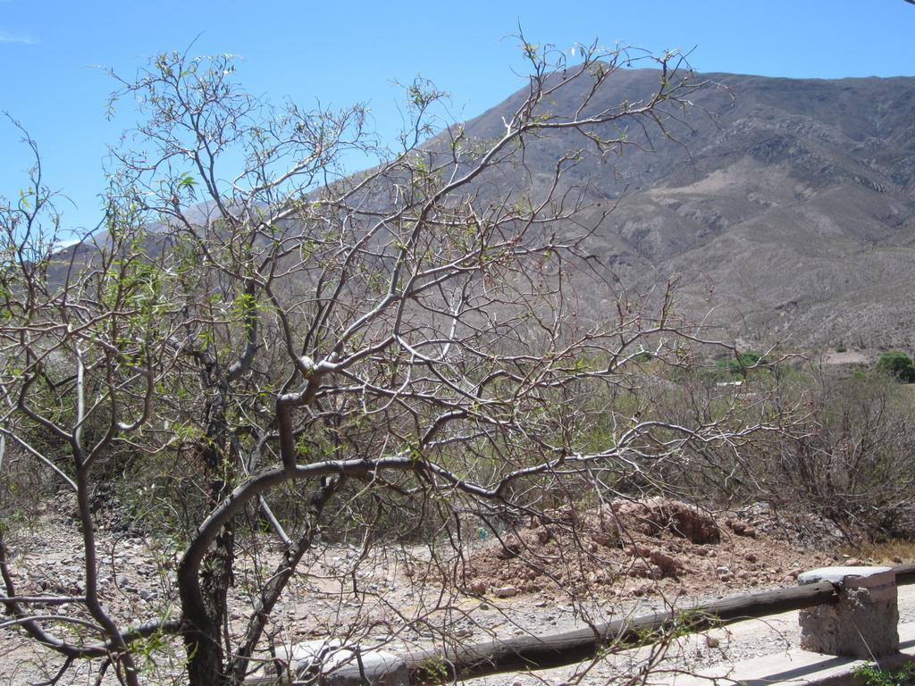 Posada Campo Morado Huacalera Exteriér fotografie