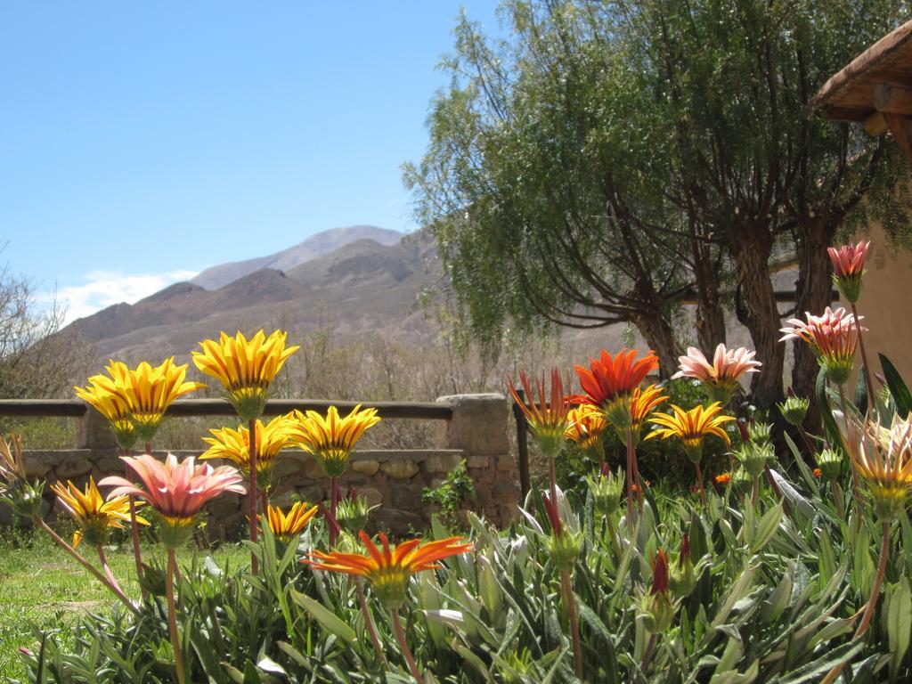Posada Campo Morado Huacalera Exteriér fotografie