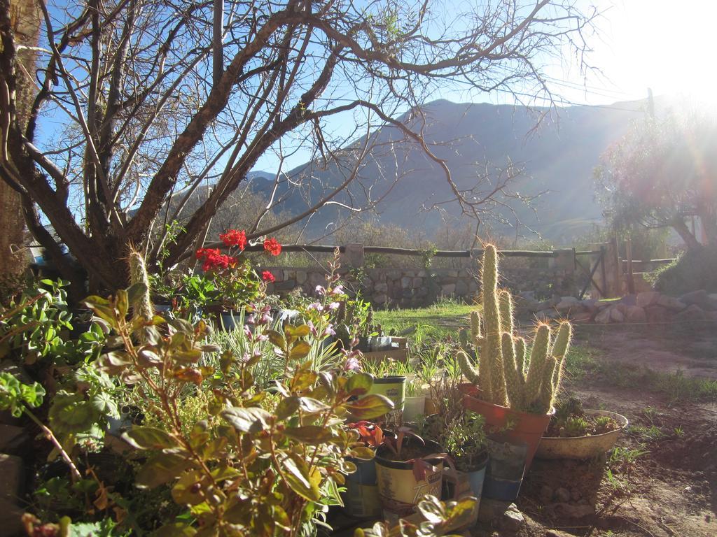 Posada Campo Morado Huacalera Exteriér fotografie